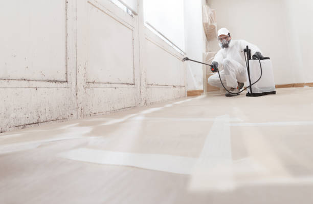 24/7 Emergency Commercial Mold Remediation experts in Seaboard, NC
