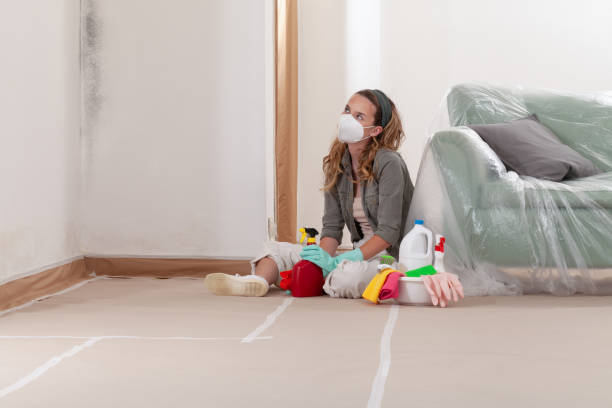 Reliable Commercial Mold Remediation contractor in Seaboard, NC by WQB Mold Removal